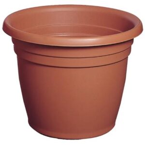VASO A CAMPANA THEA CM 35