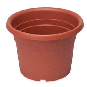 VASO A CILINDRO DAHLIA CM 70