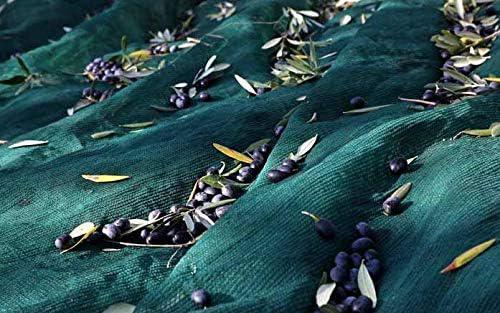 RETE OLIVE M 4X8 VERDE ANTISPINA